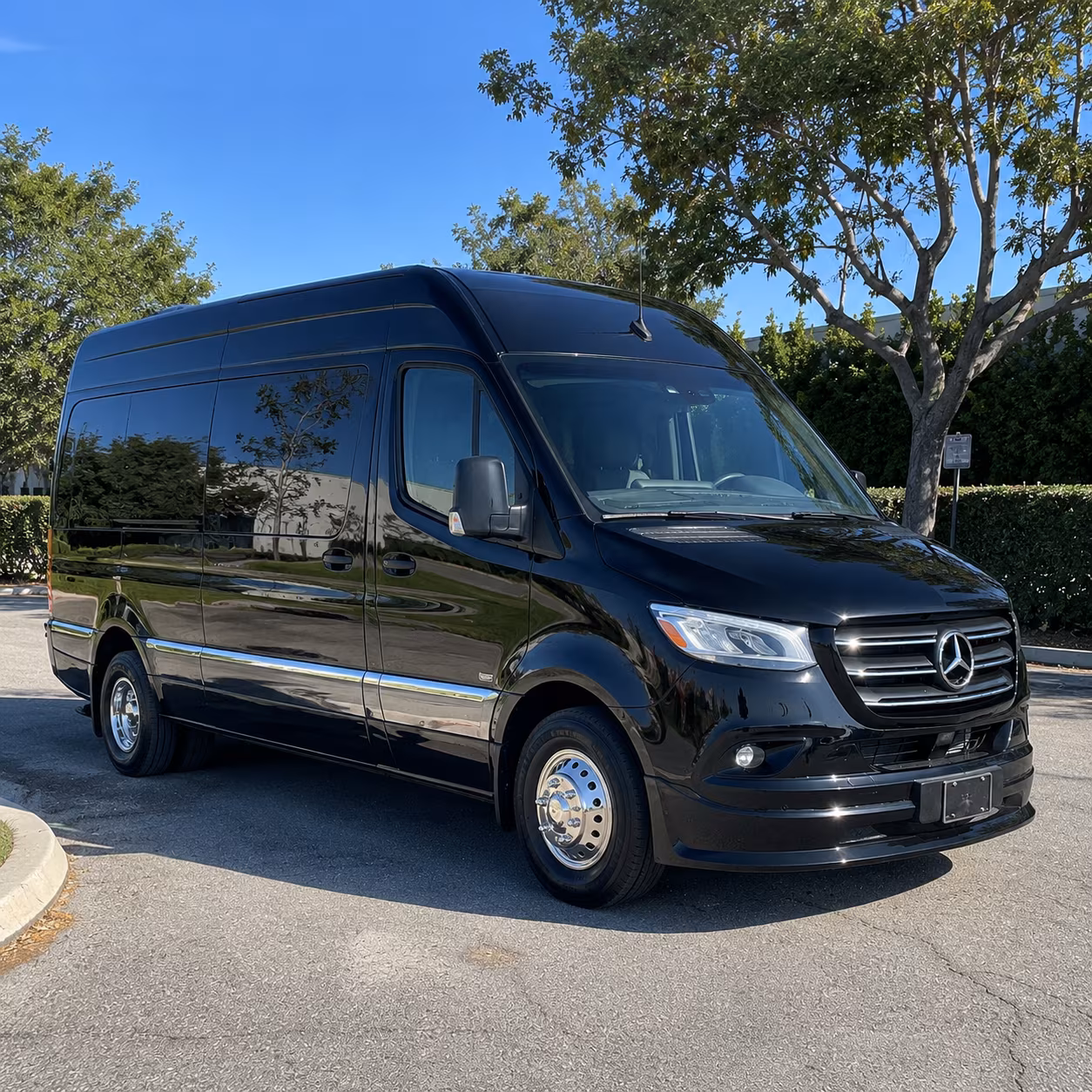 20 passenger sprinter van